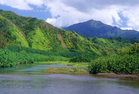 Hanalei River Valley - Hawaiipictures.com