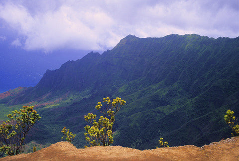 Kalalau Viewpoint - Hawaiipictures.com