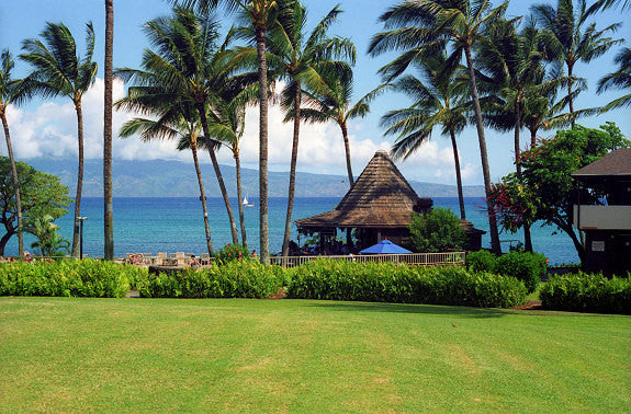 Napili Shores Resort Maui - Hawaiipictures.com