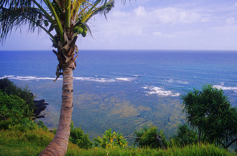 Princeville Cliffs View - Hawaiipictures.com