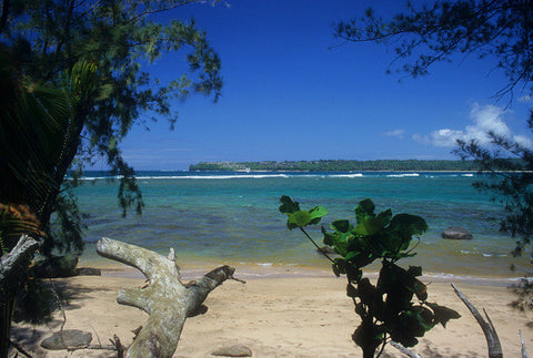 Secluded Beach In Hanalei Kauai - Hawaiipictures.com