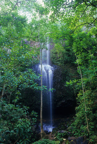 Kalihiwai Waterfall - Hawaiipictures.com