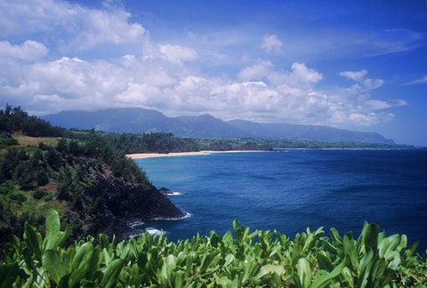 Kauai Island Coast - Hawaiipictures.com