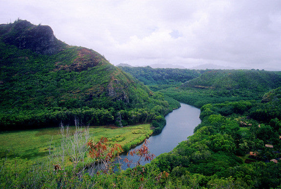 Kauai River Picture - Hawaiipictures.com