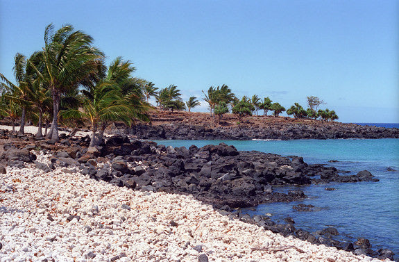 White Coral Beach Kona Side of the Big Island - Hawaiipictures.com