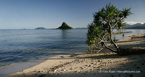 Chinaman's Hat Island - Kualoa Park Oahu - Hawaiipictures.com