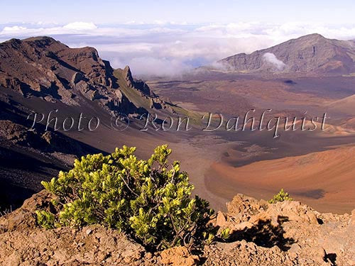 View of Haleakala Crater, Maui, Hawaii Picture - Hawaiipictures.com