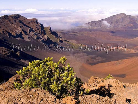 View of Haleakala Crater, Maui, Hawaii Picture - Hawaiipictures.com