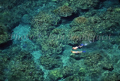Snorkeling at Honolua Bay, Maui, Hawaii - Hawaiipictures.com