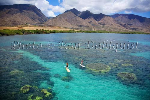 Stand-up paddle boarding on the West shore of Maui, Hawaii Picture Stock Photo Print - Hawaiipictures.com