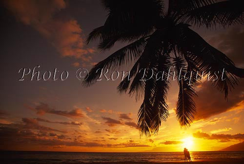 Couple at sunset with palm tree silhouette, Maui, Hawaii - Hawaiipictures.com