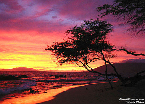Kamaole Beach Picture - Hawaiipictures.com