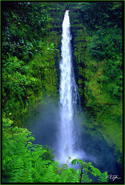 Akaka Falls Big Island Hawaii - Hawaiipictures.com