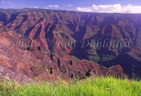 Waimea Canyon, Kauai, Hawaii - Hawaiipictures.com