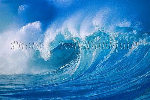 Wave on the north shore of Oahu, Waimea, Hawaii - Hawaiipictures.com